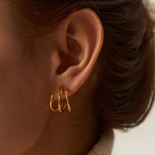 Load image into Gallery viewer, NOA