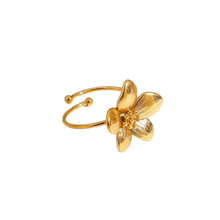 Load image into Gallery viewer, BLAISE
