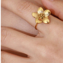 Load image into Gallery viewer, BLAISE
